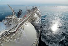 Botas LNG purchase tender