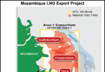 Anadarko’s Final Investment Decision On Mozambique LNG Due June 18