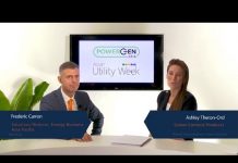 Wartsila renewables power plant